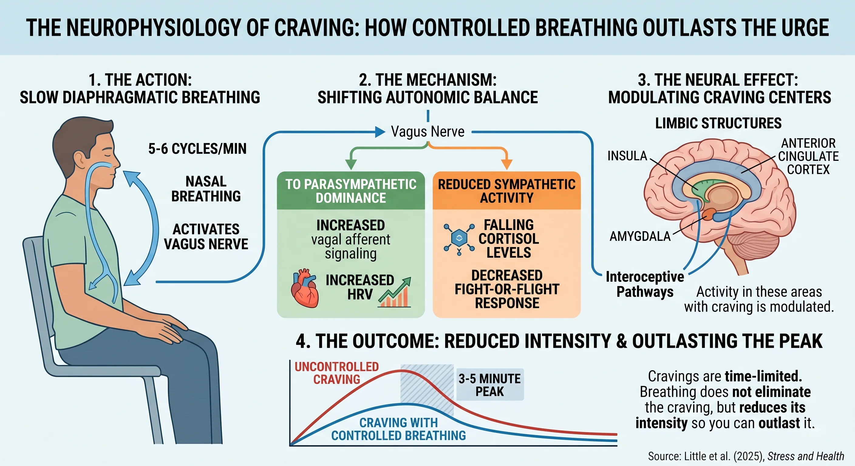 Autonomic Shift Infographic